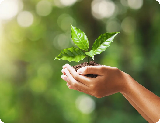 江苏鼎顺医疗用品有限公司